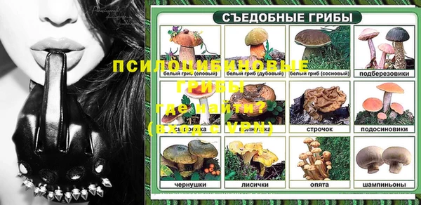индика Абдулино