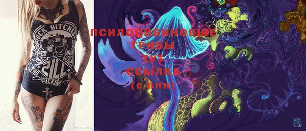 индика Абдулино