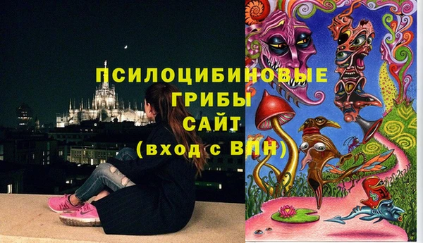индика Абдулино