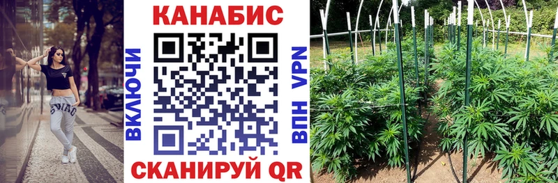 Конопля тримм  ссылка на мегу зеркало  Тимашёвск 